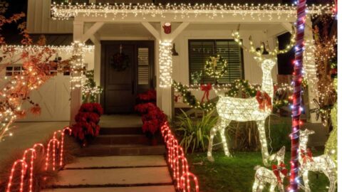 Front Yard Christmas Display